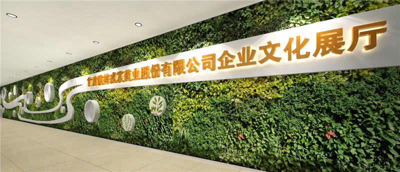 甘肃陇神戎发药业股份有限公司